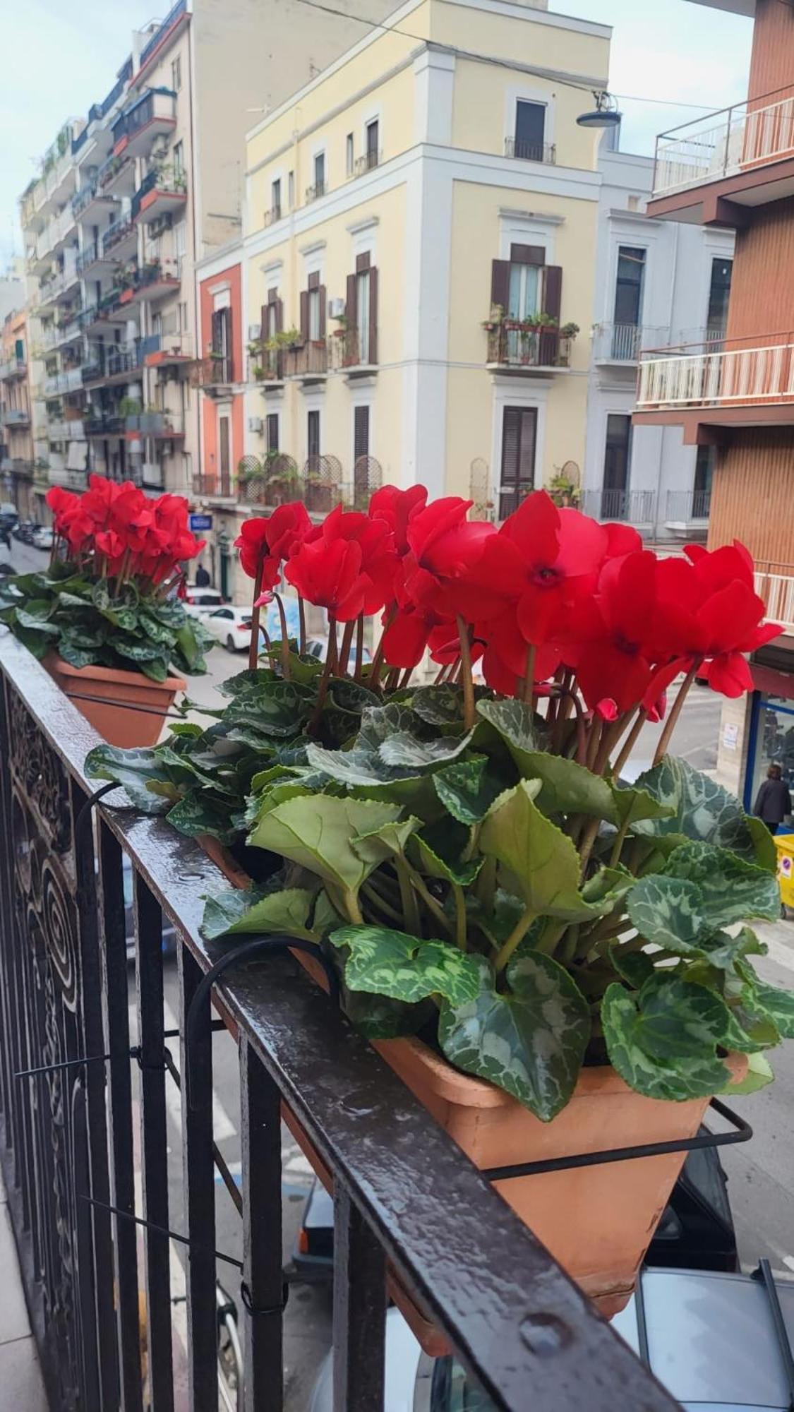 Apartament Volare House Bari Zewnętrze zdjęcie