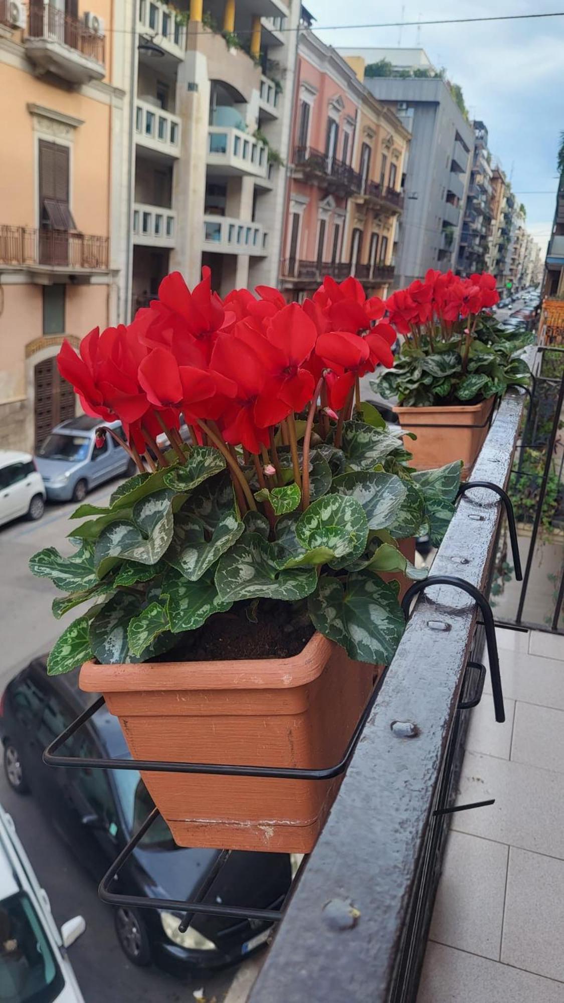 Apartament Volare House Bari Zewnętrze zdjęcie